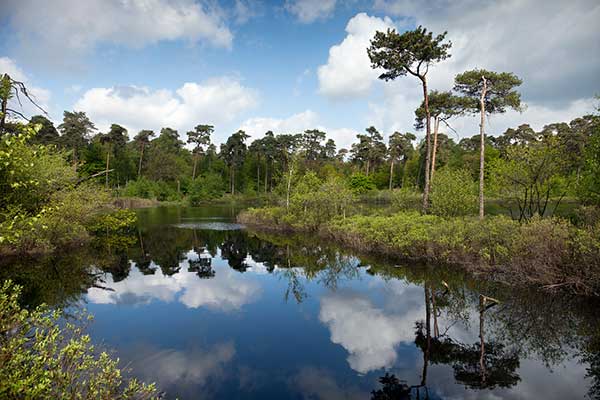 wandelen in Nederland